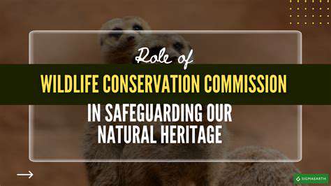 US National Parks: Ultimate Travel Guide, Hidden Gems, and Conservation Tips