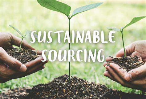 SustainabilityandEthicalSourcing:ANecessaryShiftinFocus