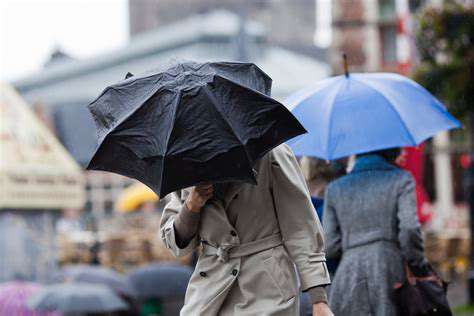 Chicago Weather: Forecast Trends, Temperature Updates, and Local News