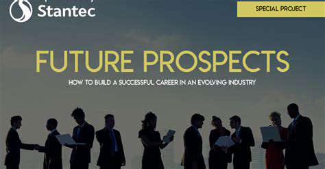 LookingAhead:PotentialandFutureProspects
